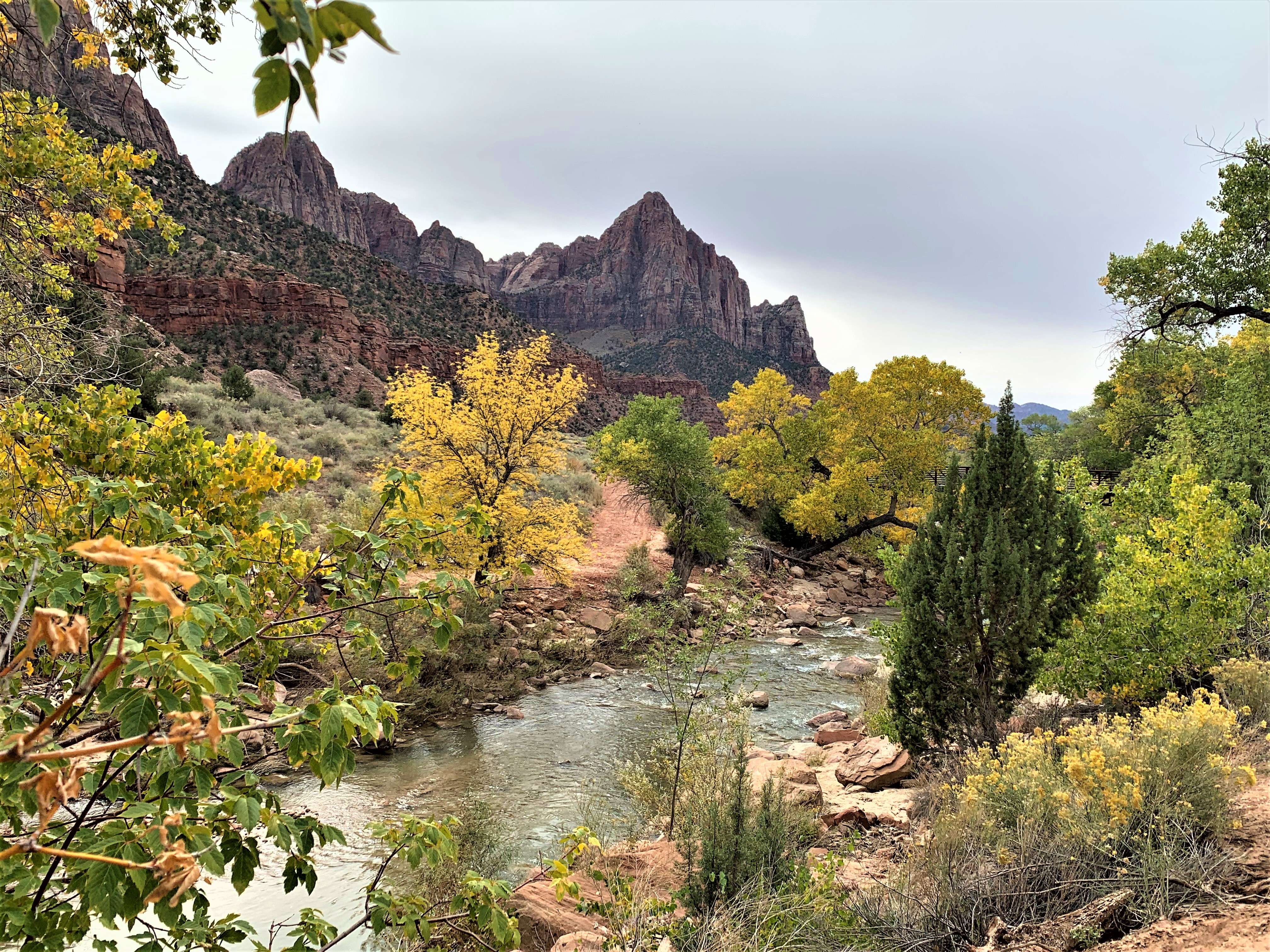 Zion NP